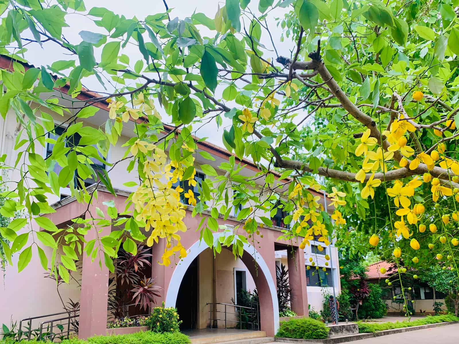 Exploring Modern Web Development